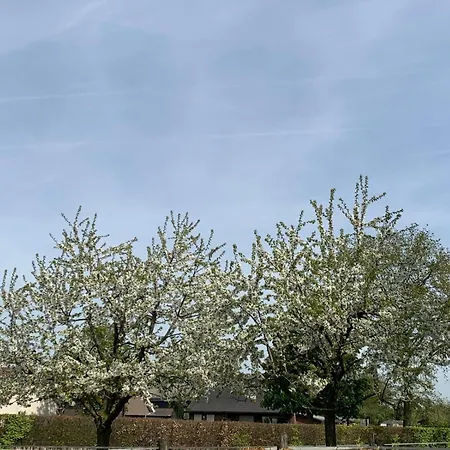 Sams Ferienhaus *