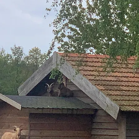 Ferienhaus Sams *