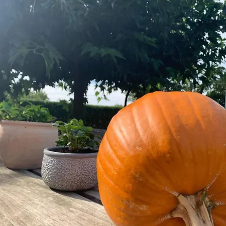 Sams Nyaraló Roermond