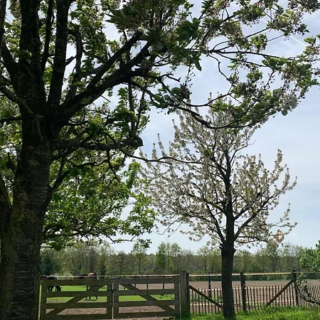 Ferienhaus Sams *