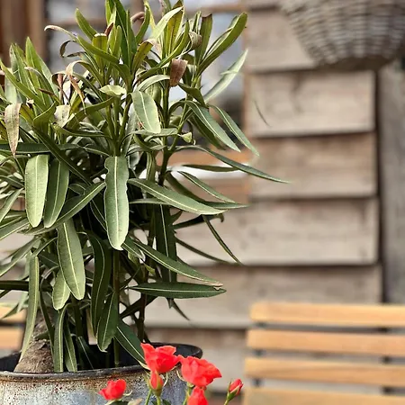 בית נופש Sams