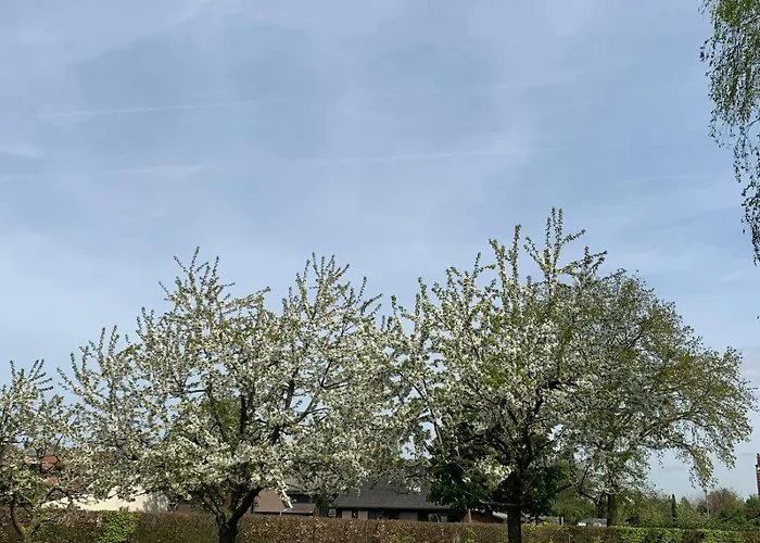 Sams Дом отдыха *