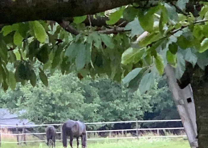 Sams Дом отдыха Рурмонд