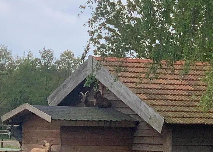 Дом отдыха Sams *