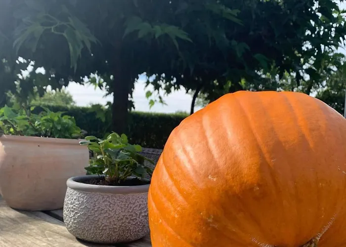 Sams Feriehus Roermond