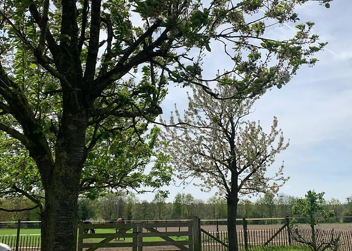 Дом отдыха Sams *