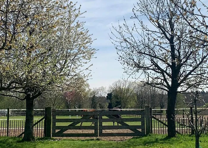 Дом отдыха Sams *