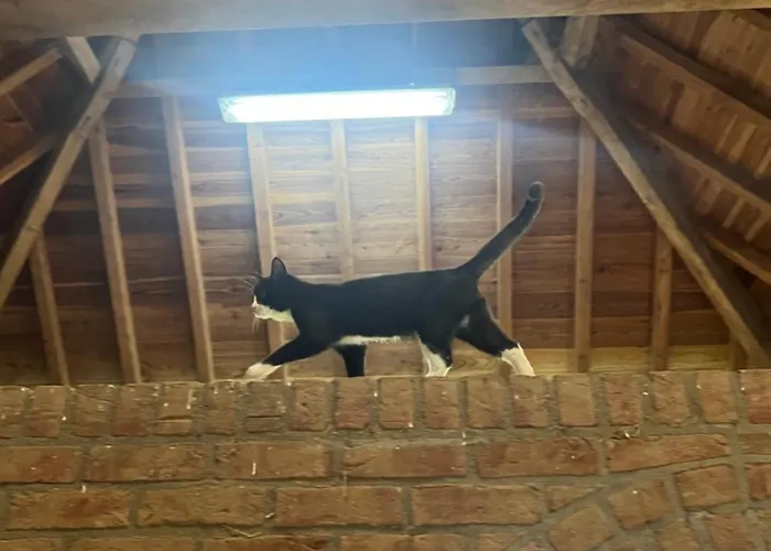 Дом отдыха Sams Рурмонд